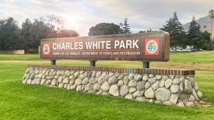 charles white altadena arts festival