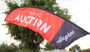 auction art news