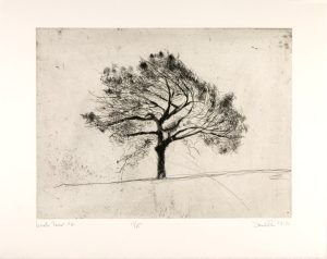 american prairie lithograph