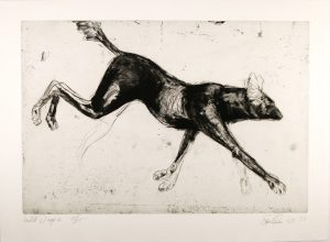 dog lithograph