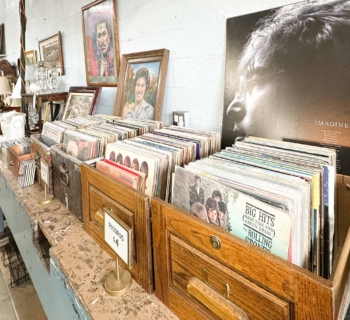 Records for sale at an estate close out sale